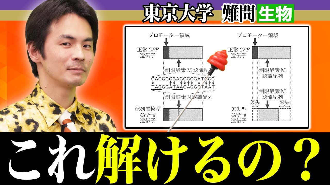 【東大の難問】素早く解き方を見抜く時短テクニックを伝授！【2023年度 生物】